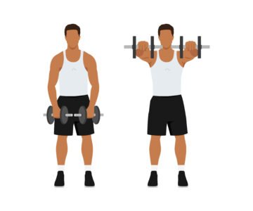 Élévations frontales