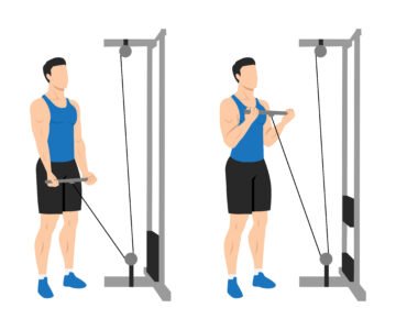 Curl Biceps À La Poulie Basse