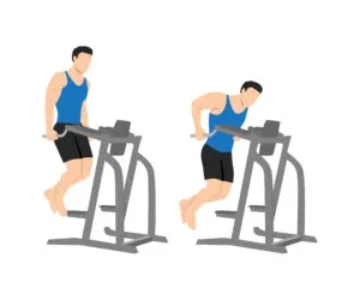 Dips