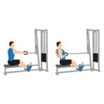 Le Dos 15 Tirage horizontal à la poulie