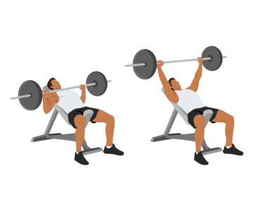 Développé incliné à la barre