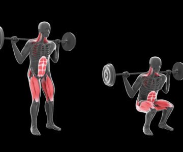 Squat le mouvement clé pour des jambes fortes et toniques