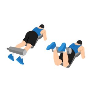 LES ISCHIO-JAMBIERS 13 Leg curl allongé