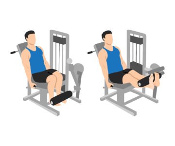 Leg Extension