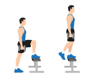 Les montées sur banc avec haltères