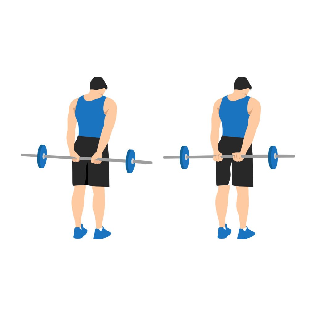 Curl derrière le dos pour les avant-bras