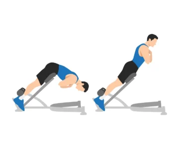 Extensions lombaires