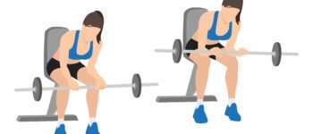 Curl de poignet assis avec une barre(avec paume vers le bas )