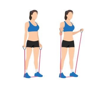 Curl Biceps avec Élastique : L’exercice idéal à faire chez soi