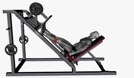 LES MOLLETS 18 Extensions des mollets à la presse