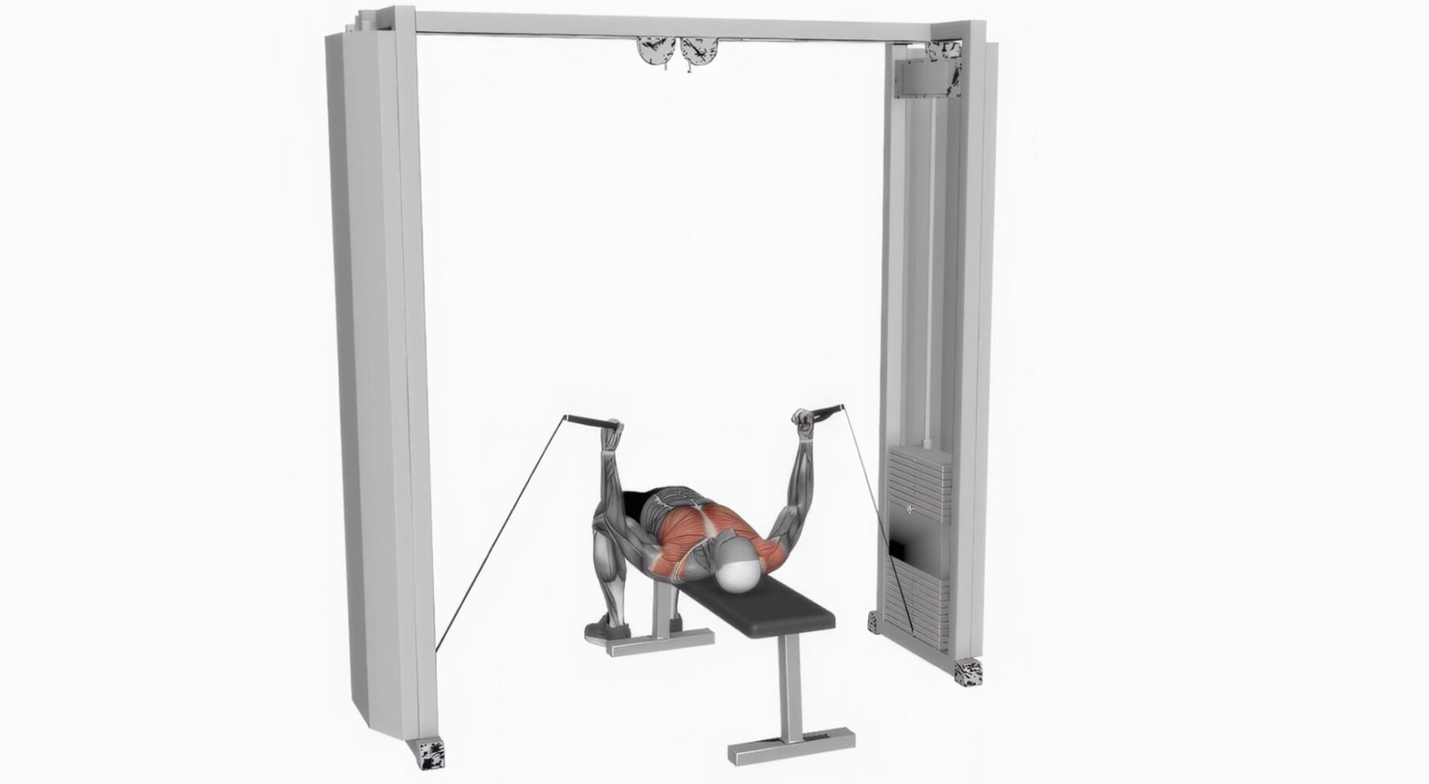 Écartés Couché À La Poulie Vis-à-Vis Renforcez Vos Pectoraux 7 ÉCARTÉS COUCHÉ A LA POULIE VIS A vis