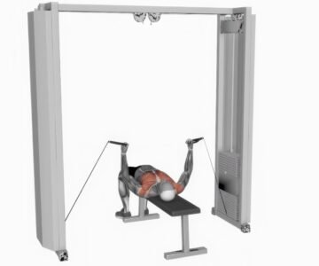 Écartés Couché À La Poulie Vis-à-Vis  Renforcez Vos Pectoraux