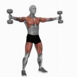 Épaules 9 Croix de fer avec Haltères