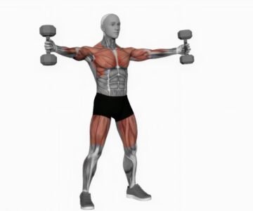 Curl Biceps Alterné En Supination  L’Exercice Clé Pour Des Bras 10 Croix de fer avec haltères