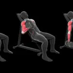 Curl Biceps Alterné En Supination 