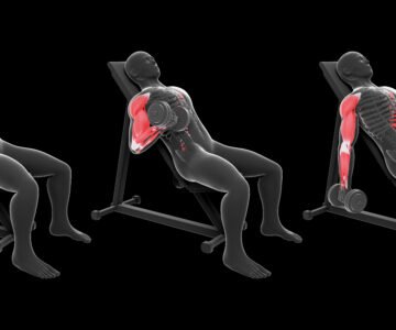 Curl Biceps Alterné En Supination  L’Exercice Clé Pour Des Bras