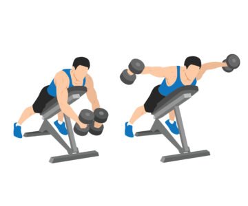 Élévations Latérales Inversées sur un banc incliné avec haltères