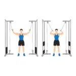 Curl Biceps Debout à la Poulie Vis-à-Vis