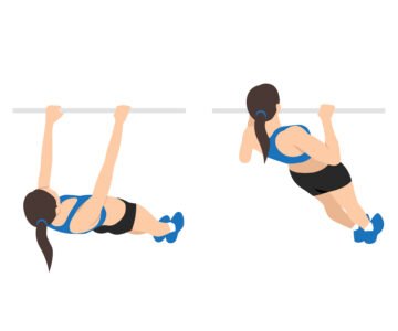 Tractions Inversées  Guide Complet Pour Un Dos Fort et Sculpter