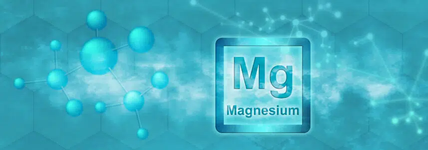 Notre blog 29 magnesium