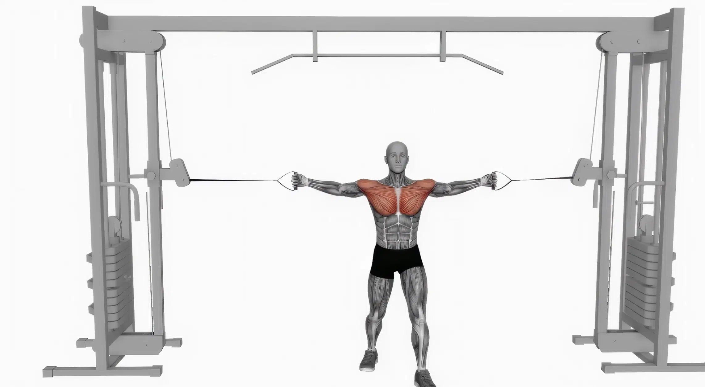 Les écartés à la poulie vis-à-vis