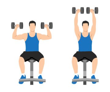Developpé Haltères Assis  Guide Complet pour Muscler Vos Épaules
