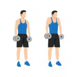 Shrugs Haltères