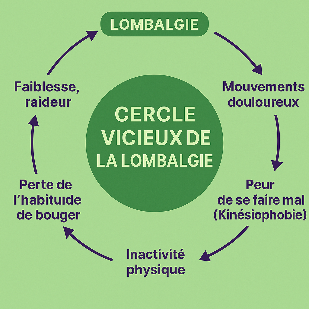activité physique et lombalgie,exercices adaptés mal de dos,7 exercices  pour lombalgies
