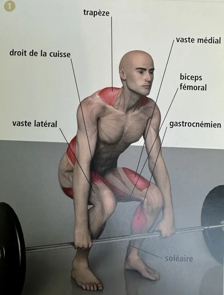 soulevé de terre,deadlift