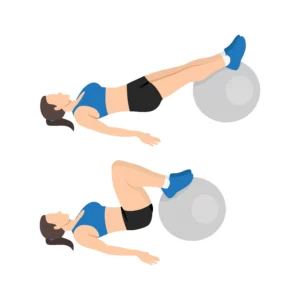 LES ISCHIO-JAMBIERS 16 Swiss Ball Hamstring Curl