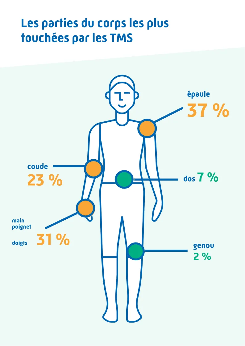 Troubles musculo-squelettiques : comprendre, reconnaître et prévenir 2 Infographie – Les parties du corps les plus touchées par les TMS