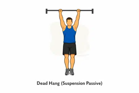 Avant-bras 9 Dead hang (suspension passive), exercice musculation fitness