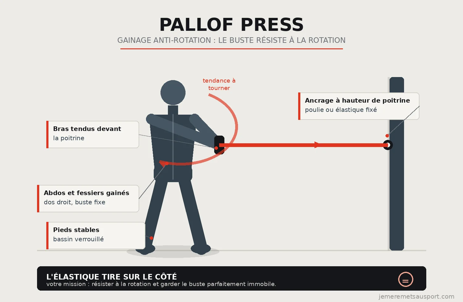 illustration du Pallof press (